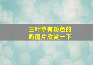 三叶草有粉色的吗图片欣赏一下