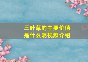 三叶草的主要价值是什么呢视频介绍