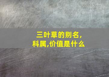 三叶草的别名,科属,价值是什么