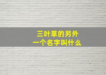 三叶草的另外一个名字叫什么