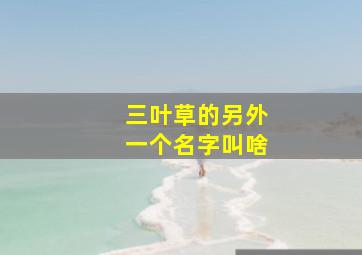 三叶草的另外一个名字叫啥