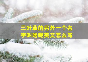 三叶草的另外一个名字叫啥呢英文怎么写