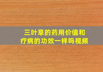 三叶草的药用价值和疗病的功效一样吗视频