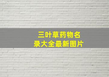 三叶草药物名录大全最新图片