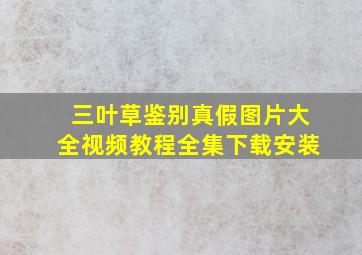 三叶草鉴别真假图片大全视频教程全集下载安装