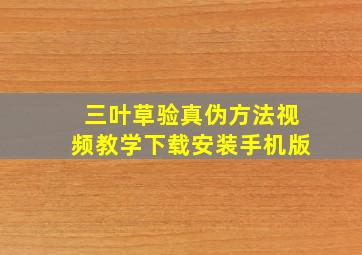 三叶草验真伪方法视频教学下载安装手机版