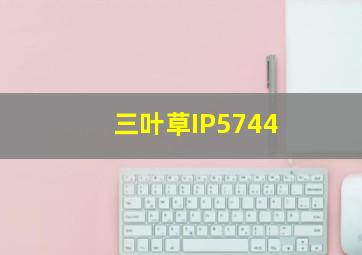 三叶草IP5744