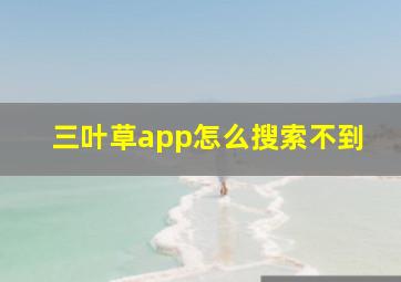 三叶草app怎么搜索不到