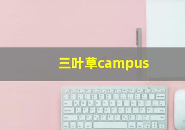 三叶草campus