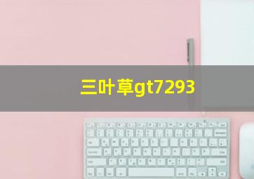 三叶草gt7293