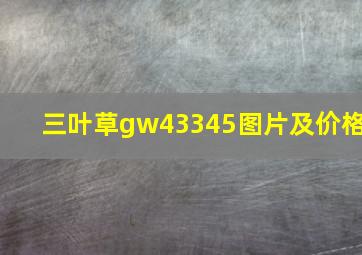 三叶草gw43345图片及价格