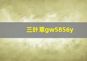 三叶草gw5856y