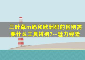 三叶草m码和欧洲码的区别需要什么工具辨别?--魅力经验