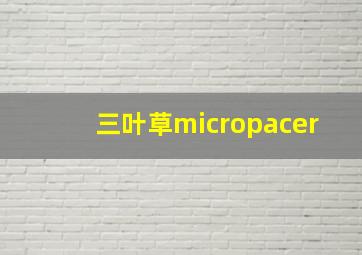 三叶草micropacer