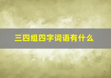 三四组四字词语有什么