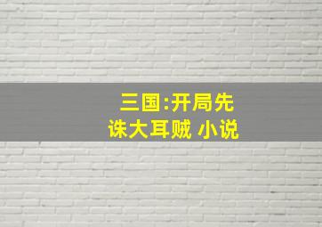 三国:开局先诛大耳贼 小说