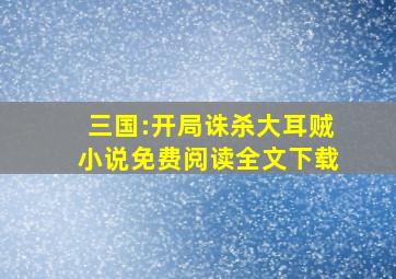 三国:开局诛杀大耳贼小说免费阅读全文下载