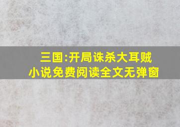 三国:开局诛杀大耳贼小说免费阅读全文无弹窗