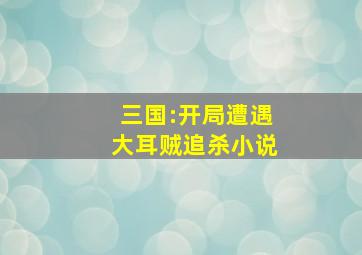 三国:开局遭遇大耳贼追杀小说