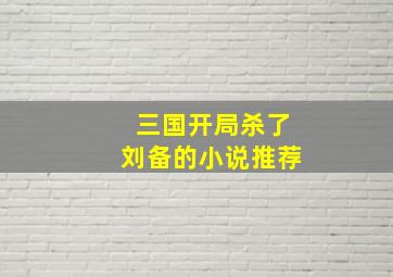 三国开局杀了刘备的小说推荐