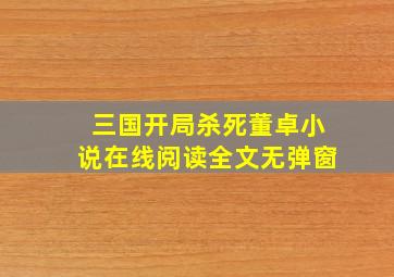 三国开局杀死董卓小说在线阅读全文无弹窗