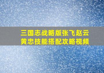 三国志战略版张飞赵云黄忠技能搭配攻略视频