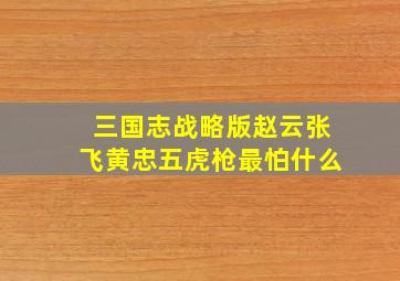 三国志战略版赵云张飞黄忠五虎枪最怕什么