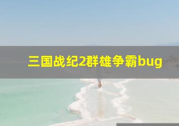 三国战纪2群雄争霸bug