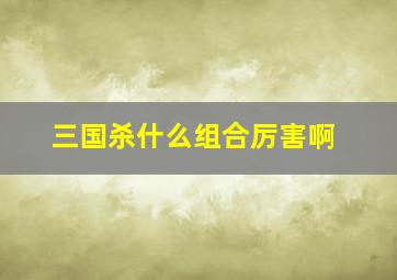 三国杀什么组合厉害啊