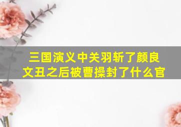 三国演义中关羽斩了颜良文丑之后被曹操封了什么官