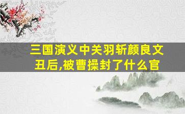 三国演义中关羽斩颜良文丑后,被曹操封了什么官