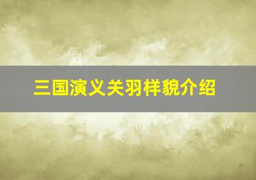 三国演义关羽样貌介绍