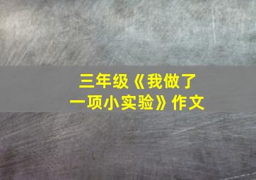 三年级《我做了一项小实验》作文