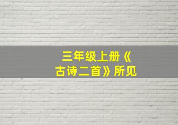 三年级上册《古诗二首》所见