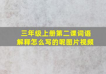 三年级上册第二课词语解释怎么写的呢图片视频