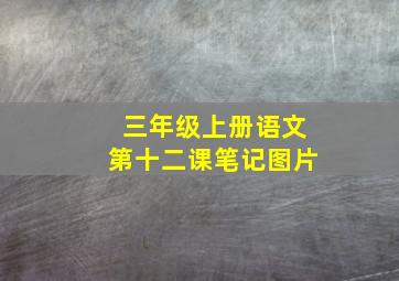 三年级上册语文第十二课笔记图片