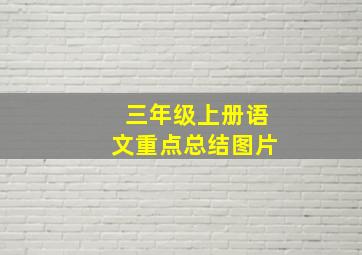 三年级上册语文重点总结图片