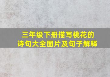 三年级下册描写桃花的诗句大全图片及句子解释