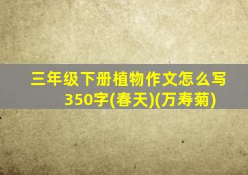 三年级下册植物作文怎么写350字(春天)(万寿菊)