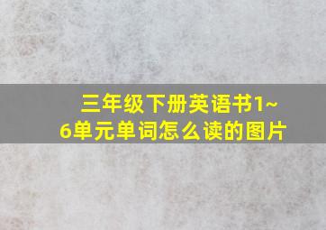 三年级下册英语书1~6单元单词怎么读的图片