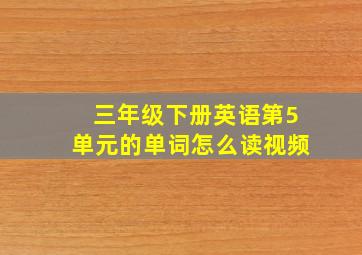 三年级下册英语第5单元的单词怎么读视频