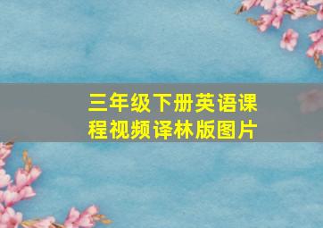 三年级下册英语课程视频译林版图片