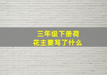 三年级下册荷花主要写了什么