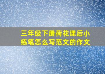 三年级下册荷花课后小练笔怎么写范文的作文