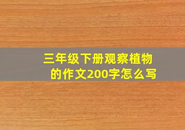 三年级下册观察植物的作文200字怎么写