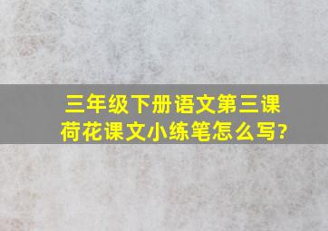 三年级下册语文第三课荷花课文小练笔怎么写?