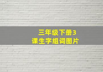 三年级下册3课生字组词图片