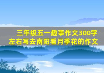 三年级五一趣事作文300字左右写去南阳看月季花的作文