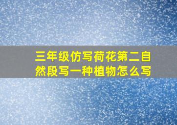 三年级仿写荷花第二自然段写一种植物怎么写