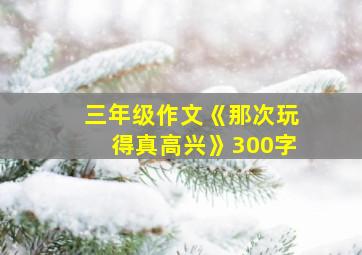 三年级作文《那次玩得真高兴》300字